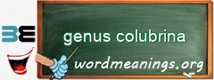 WordMeaning blackboard for genus colubrina